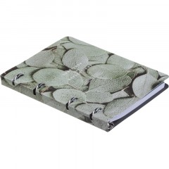Тетрадь общая, BS, А5, 120л., клетка, кольца. Botanica, эвкалипт N4234 Тетрадь общая, BS, А5, 120л., клетка, кольца. Botanica, эвкалипт N4234 - фото 4
