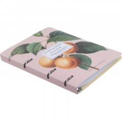 Тетрадь общая, BS, А5, 120л., клетка, кольца, Flora, персики N4236 Тетрадь общая, BS, А5, 120л., клетка, кольца, Flora, персики N4236 - фото 4