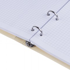 Тетрадь общая, BS, А5, 120л., клетка, кольца, Flora, персики N4236 Тетрадь общая, BS, А5, 120л., клетка, кольца, Flora, персики N4236 - фото 9