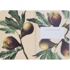 Тетрадь общая, BS, 150х210мм, 48л., клетка, скрепка. Flora, черный N4138 Тетрадь общая, BS, 150х210мм, 48л., клетка, скрепка. Flora, черный N4138 - фото 5
