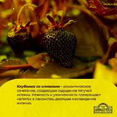Чай Ahmad Tea Строуберри Крим, черный, пакетики в конвертах, 100x1,5г/уп - фото 8
