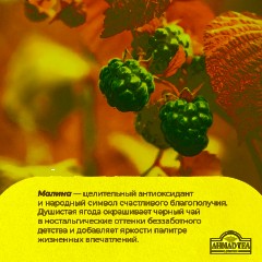 Чай Ahmad Tea Малиновое Лакомство, черный, пакетики в конвертах 100x1,5г/уп - фото 8