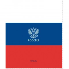 Тетрадь общая Россия А5 48л клетка скрепка обл. картон, ассорти 21с18 Тетрадь общая Россия А5 48л клетка скрепка обл. картон, ассорти 21с18 - фото 5