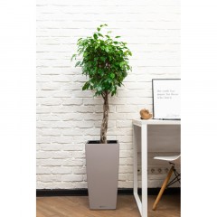 Фикус Экзотика переплетенный CUBICO Color 30/140 см, песочно-коричневый Фикус Экзотика переплетенный CUBICO Color 30/140 см, песочно-коричневый - фото 4