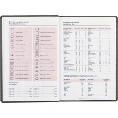 Ежедневник недатированный серый,А5,143х210мм,176л,ATTACHE Сиам - фото 14