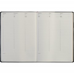 Еженедельник недатированный синий,A4,222х302мм,128 стр.,Br.V.PROFY 3-098/01 Еженедельник недатированный синий,A4,222х302мм,128 стр.,Br.V.PROFY 3-098/01 - фото 10