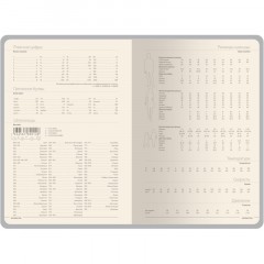 Ежедневник недатированный А5 MEGAPOLIS COLOR иск.кожа ЧЕРНЫЙ 3-753/04 - фото 5