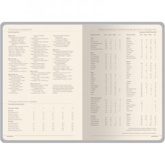 Ежедневник недатированный А5 MEGAPOLIS COLOR иск.кожа ЧЕРНЫЙ 3-753/04 - фото 6