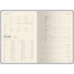 Ежедневник недатированный А5 MEGAPOLIS COLOR иск.кожа СЕРЫЙ 3-753/13 - фото 5