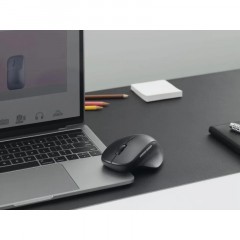 Мышь компьютерная RAPOO (M50PLUS-BL) беспроводная черная Мышь компьютерная RAPOO (M50PLUS-BL) беспроводная черная - фото 6