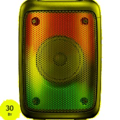 Акустическая система Hyundai H-PS1006 черный 30W 1.0 BT 10м 1500mAh