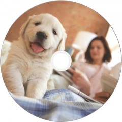 Носители информации DVD-R Verbatim 4.7Gb 16x Cake 50шт/уп Printable (43755) Носители информации DVD-R Verbatim 4.7Gb 16x Cake 50шт/уп Printable (43755) - фото 3