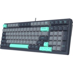 Клавиатура A4Tech Fstyler (FS300 PANDA ROCK)механич. чер/сер USB gamer LED - фото 4