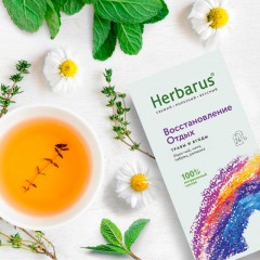 Чай Herbarus, Восстановление Отдых, 24 пак Чай Herbarus, Восстановление Отдых, 24 пак - фото 4