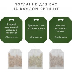 Чай Herbarus, Восстановление Отдых, 24 пак Чай Herbarus, Восстановление Отдых, 24 пак - фото 6