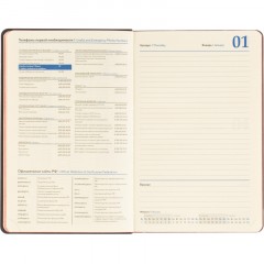 Ежедневник датированный 2026 Attache А5, 168л, 138x213мм, иск.кожа, красный - фото 14