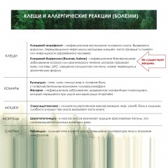 Аэрозоль репеллентный MOSQUITALL Профессион защита от всех насекомых,100 мл - фото 4