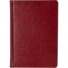 Ежедневник датированный 2026 А5+ SIDNEY NEBRASKA борд, золот обрез 3-125/01 - фото 3