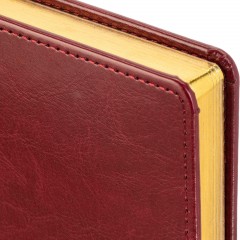 Ежедневник датированный 2026 А5+ SIDNEY NEBRASKA борд, золот обрез 3-125/01 - фото 4