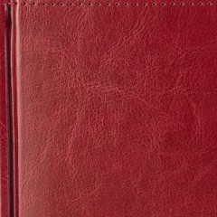 Ежедневник датированный 2026 А5+ SIDNEY NEBRASKA борд, золот обрез 3-125/01 - фото 5