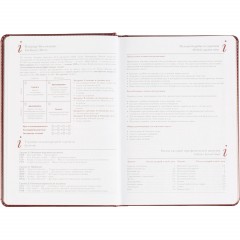 Ежедневник датированный 2026 А5+ SIDNEY NEBRASKA борд, золот обрез 3-125/01 - фото 11