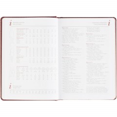 Ежедневник датированный 2026 А5+ SIDNEY NEBRASKA борд, золот обрез 3-125/01 - фото 13