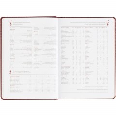 Ежедневник датированный 2026 А5+ SIDNEY NEBRASKA борд, золот обрез 3-125/01 - фото 15