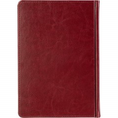 Ежедневник датированный 2026 А5+ SIDNEY NEBRASKA борд, золот обрез 3-125/01 - фото 18