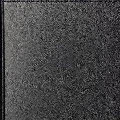 Ежедневник датированный 2026 А5+ SIDNEY NEBRASKA черный, зол обрез 3-125/02 - фото 5