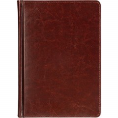 Ежедневник датированный 2026 А5+ SIDNEY NEBRASKA кор, зол обрез 3-125/03 - фото 3