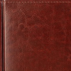 Ежедневник датированный 2026 А5+ SIDNEY NEBRASKA кор, зол обрез 3-125/03 - фото 5