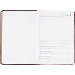 Ежедневник датированный 2026 А5+ SIDNEY NEBRASKA кор, зол обрез 3-125/03 - фото 8