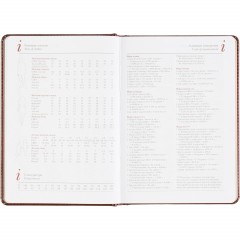 Ежедневник датированный 2026 А5+ SIDNEY NEBRASKA кор, зол обрез 3-125/03 - фото 13