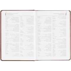 Ежедневник датированный 2026 А5+ SIDNEY NEBRASKA кор, зол обрез 3-125/03 - фото 14