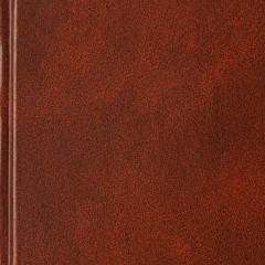 Ежедневник датированный 2026 А5+ IDEAL NEW коричневый 3-344/02 - фото 4