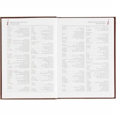 Ежедневник датированный 2026 А5+ IDEAL NEW коричневый 3-344/02 - фото 13