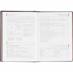 Ежедневник датированный 2026 А5+ VELVET бордовый 3-123/02 - фото 10