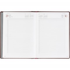 Ежедневник датированный 2026 А5+ VELVET бордовый 3-123/02 - фото 16