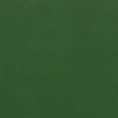Ежедневник недатированный ATTACHE Classic А5,140х200мм,136л, темно-зеленый Ежедневник недатированный ATTACHE Classic А5,140х200мм,136л, темно-зеленый - фото 5