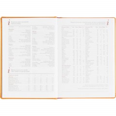 Ежедневник датированный 2026 А5+ VELVET оранжевый 3-123/06 - фото 14