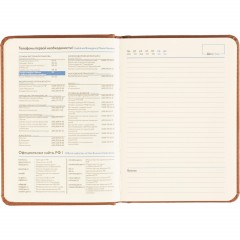 Ежедневник недатированный ATTACHE Classic А6, 136л, коричневый - фото 16