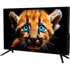 Телевизор 24 Topdevice TDTV24BS01H_BK, HD ready, смарт (WildRed) Телевизор 24 Topdevice TDTV24BS01H_BK, HD ready, смарт (WildRed) - фото 5