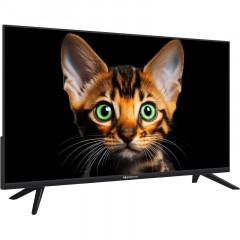 Телевизор 32 Topdevice TDTV32BS01H_BK, HD ready, смарт (WildRed) Телевизор 32 Topdevice TDTV32BS01H_BK, HD ready, смарт (WildRed) - фото 4