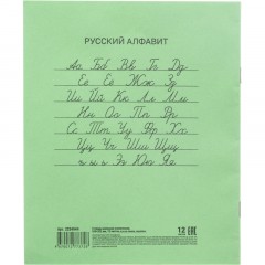 Тетрадь в зеленом офсете  12л., косая линия, штука, внутр.блок 100 - фото 8