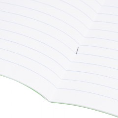 Тетрадь в зеленом офсете 12л., линия, штука, внутр.блок 100% белизна - фото 7
