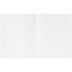 Тетрадь в зеленом офсете 12 л., частая косая линия, штука,100% белизна - фото 5