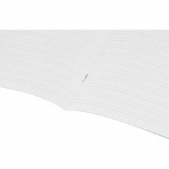 Тетрадь в зеленом офсете 12 л., частая косая линия, штука,100% белизна - фото 6