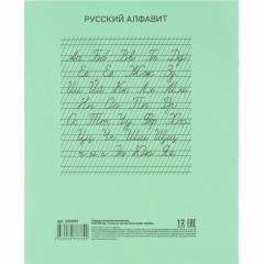 Тетрадь в зеленом офсете 12 л., частая косая линия, штука,100% белизна - фото 8