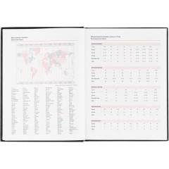 Ежедневник датированный 2026 АТТАСНЕ А4, 176л, 200х270мм, Каньон, черный - фото 11