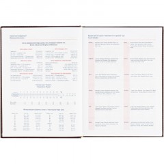 Ежедневник датированный 2026 АТТАСНЕ А4, 176л, 200х270мм, Каньон бордовый - фото 10